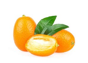 Laranja Kinkan / Xinxim Doce - Muda Enxertada, Já Produzindo