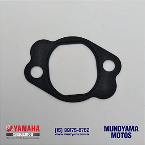Gaxeta da Caixa do Tensionador (17) - YBR 125 (Original Yamaha)