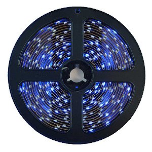 Fita LED 3528 Azul 5 Metros IP65 - À prova d'água - 24W