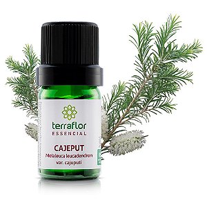 Óleo essencial de cajeput | Terra Flor | 5ml