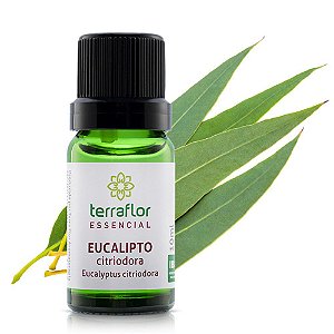 Óleo essencial de eucalipto citriodora | Terra Flor | 10ml