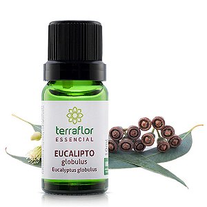 Óleo essencial de eucalipto glóbulus | Terra Flor | 10ml