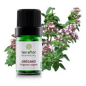 Óleo essencial de orégano | Terra Flor | 5ml