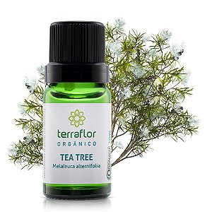 Óleo essencial de tea tree orgânico | Terra Flor | 10ml