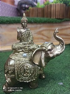 Buda no Elefante | Resina