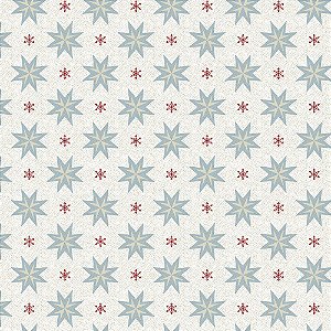 Tecido Winter Christmas NA068 50x150