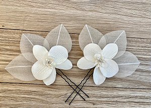 orquídeas e folhas