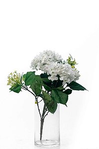 HORTÊNSIA BOUQUET - WH