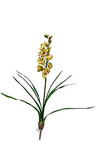 ORQUÍDEA CYMBIDIUM C/ FOLHA