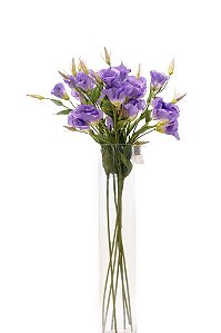 LISIANTHUS