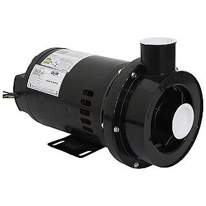 BOMBA CHS-22 SEM PREFILTRO 3,0 CV MONOF WEG - DANCOR