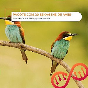 020. Pacote com 20 Sexagens (R$ 22,50 cada)