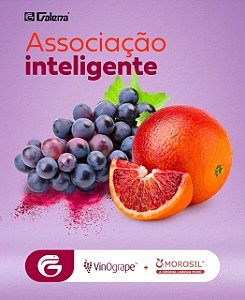 Vinogrape 600mg, Morosil 250mg 30 cápsulas