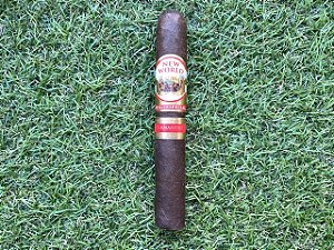 Charuto New World Puro Especial Robusto - Unidade