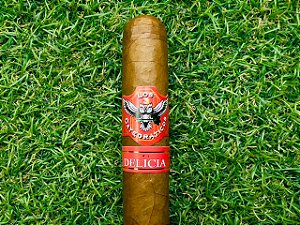 Charuto Los 3 Catedraticos Robusto Delicia - Unidade