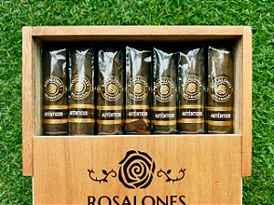 Charuto Rosalones Autenticos RA360 Gordito - Caixa com 20