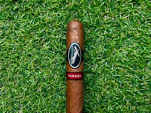 Charuto Davidoff Yamasa Robusto - Unidade