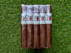 Charuto Don Blend Golden 54 Toro - Maço com 25