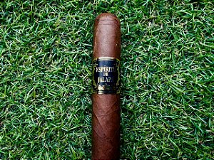 Charuto Espiritu de Jalapa Robusto - Unidade