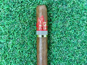 Charuto Perceverancia Premium Cañonazo - Unidade