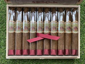 Charuto Flor de las Antillas Belicoso - Caixa com 20