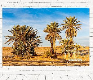 Fundo Fotográfico Em Tecido Deserto