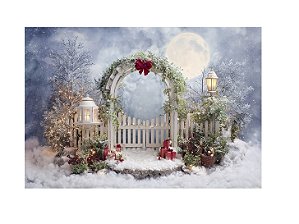 Fundo Fotográfico Portal Natal Lua