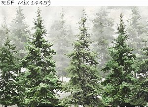 Fundo Fotográfico Pinheiros