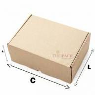 CAIXA PARA CORREIO/SEDEX/PAC - S/3  CX110 - (A) C:30,5 X L:22,0 X A:12 CM - PARDA