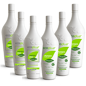 3 Kits Shampoo Argan + Máscara Disciplinante AminoPro NutriHair