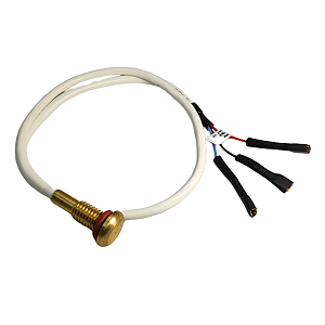 Sensor Temperatura P/ Autoclave Class E Class Cd Cristofoli