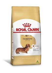 Ração Royal Canin Raças Específicas para Cães Adultos Dachshund Adult