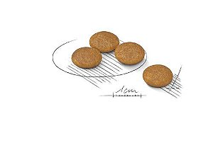 Ração Royal Canin para Cães Adultos Raças Pequenas Mini Dermacomfort