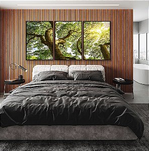 Trio de Quadros Árvores e Céu de Floresta Folhas Sol Canvas Com Moldura