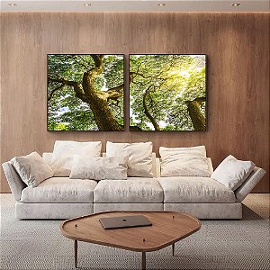 Duo de Quadros Árvores e Céu de Floresta Folhas Sol Canvas Com Moldura