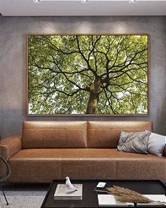 Quadro Horizontal Copa de Árvore Folhas Verdes Tronco Céu Paisagem Canvas Com Moldura