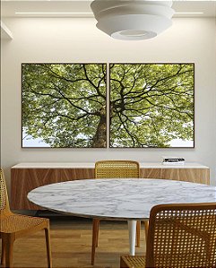 Duo de Quadros Quadrados Copa de Árvore Folhas Verdes Tronco Céu Paisagem Canvas Com Moldura