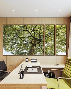 Trio de Quadros Estilizados Copa de Árvore Folhas Verdes Tronco Céu Paisagem Canvas Com Moldura