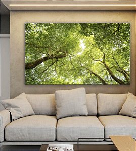 Quadro Horizontal Céu de Floresta Folhas Verdes Galhos Paisagem Natureza Canvas Moldura