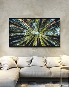 Quadro Horizontal Céu Turquesa de Floresta Árvores Natureza Paisagem Canvas Moldura