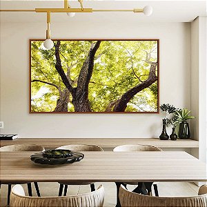 Quadro Horizontal Floresta Árvores Folhas Verdes e Claridade do Sol Arte Canvas Moldura