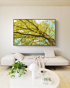 Quadro Horizontal Árvore com Folhas Verde Claro e Céu Limpo Turquesa Arte Canvas Moldura