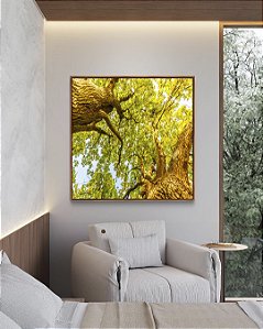 Quadro Quadrado Luzes do Sol Árvores e Folhas Verdes Paisagem Canvas Moldura