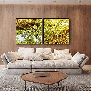 Duo de Quadros Quadrados Luzes do Sol Árvores e Folhas Verdes Paisagem Canvas Moldura