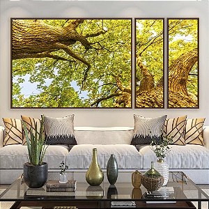 Trio de Quadros Estiizados Luzes do Sol Árvores e Folhas Verdes Paisagem Canvas Moldura