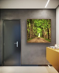Quadro Quadrado Estrada com Natureza Floresta Árvores Folhas Verdes Arte Canvas Moldura