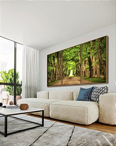 Trio de Quadros Estrada com Natureza Floresta Árvores Folhas Verdes Arte Canvas Moldura