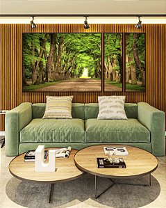 Trio de Quadros Estilizados Estrada com Natureza Floresta Árvores Folhas Verdes Arte Canvas Moldura