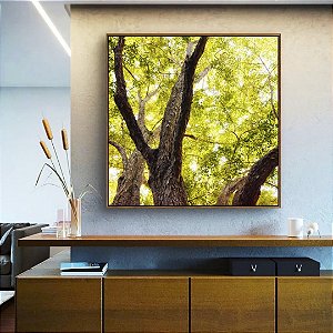 Quadro Quadrado Floresta Árvores Folhas Verdes e Claridade do Sol Arte Canvas Moldura