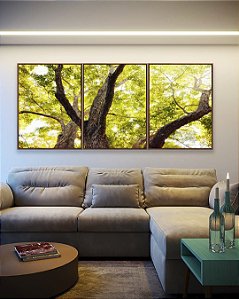 Trio de Quadros Floresta Árvores Folhas Verdes e Claridade do Sol Arte Canvas Moldura